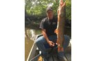 wildlife on Lake County, Indiana farmland - LAND AUCTION - 147+/- ACRES OFFERED IN 3 TRACTS IN LAKE COUNTY, INDIANA